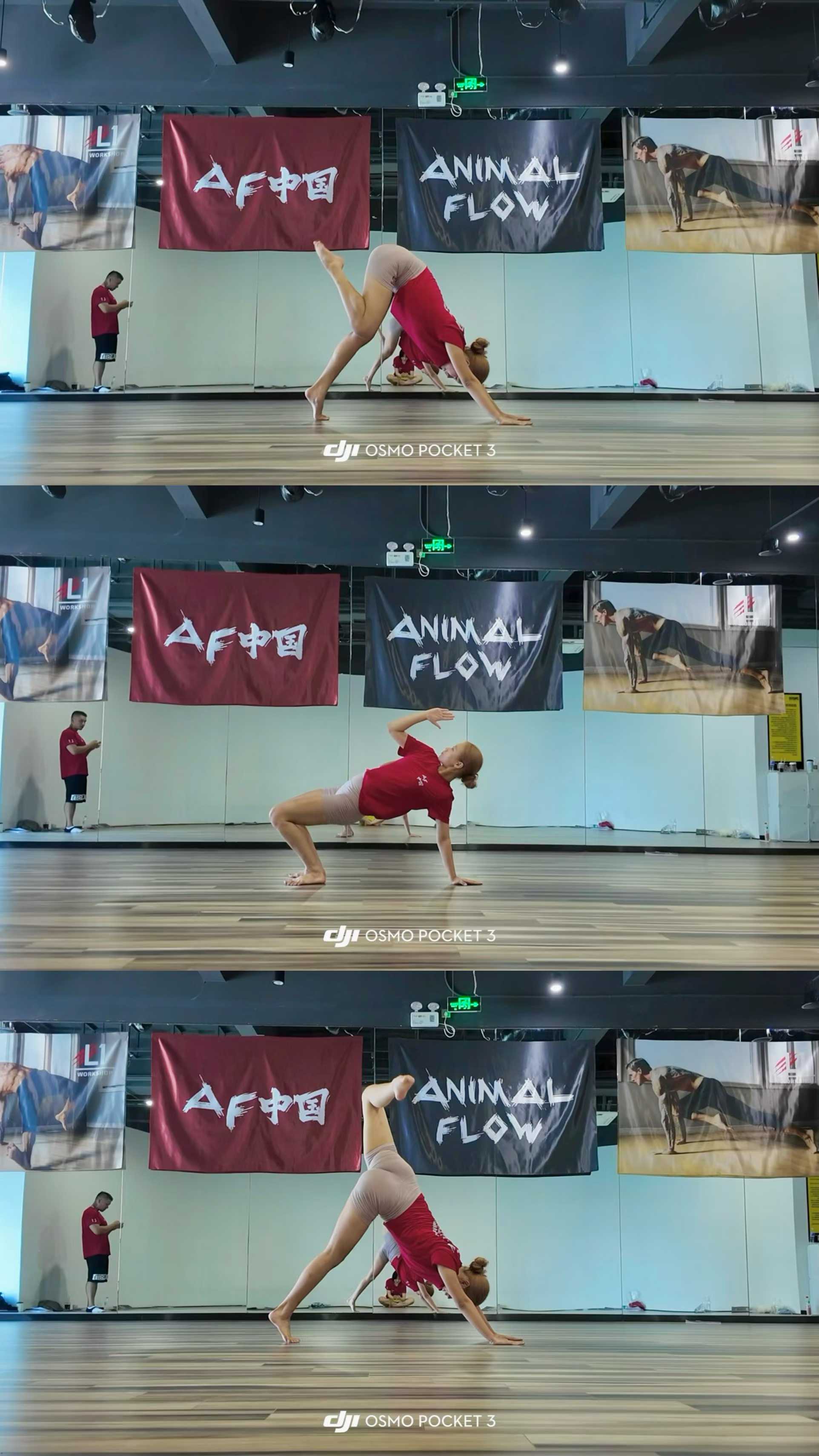 Animal Flow training session